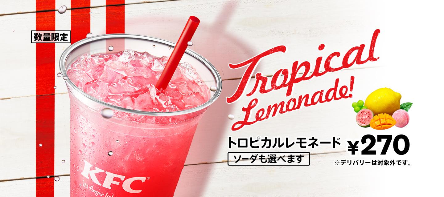 メニュー 商品情報 ケンタッキーフライドチキン